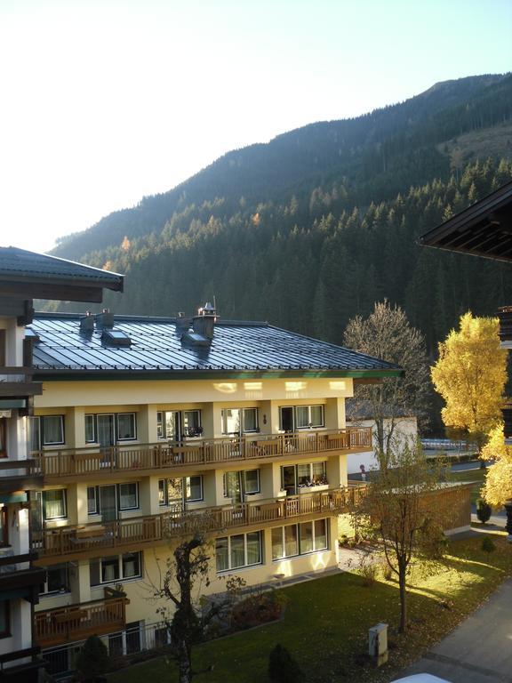 Bear Hutte Apartment