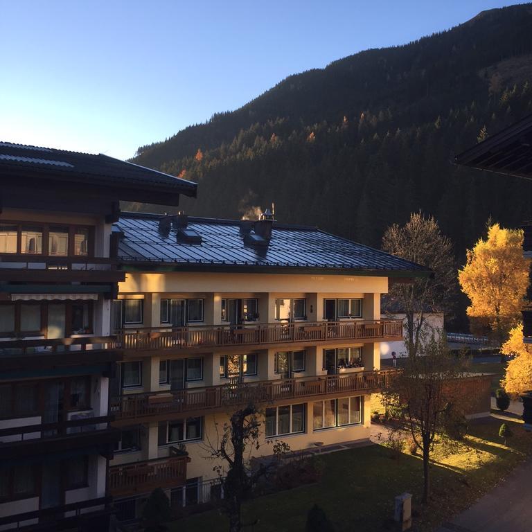 Apartment Bear Hutte *